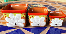 Load image into Gallery viewer, square planters with white flower set of 3
