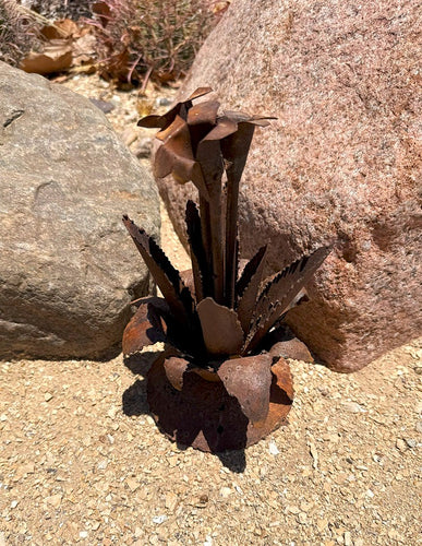 blooming agave yard art - rust