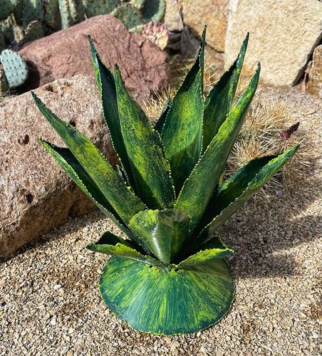 metal agave - green